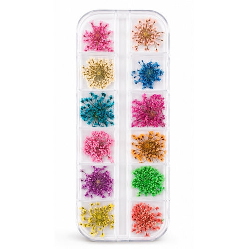Clear case with twelve compartments of colourful dried flower nail art decorations for detailed floral nail designs. USE FOR NAIL ART 
